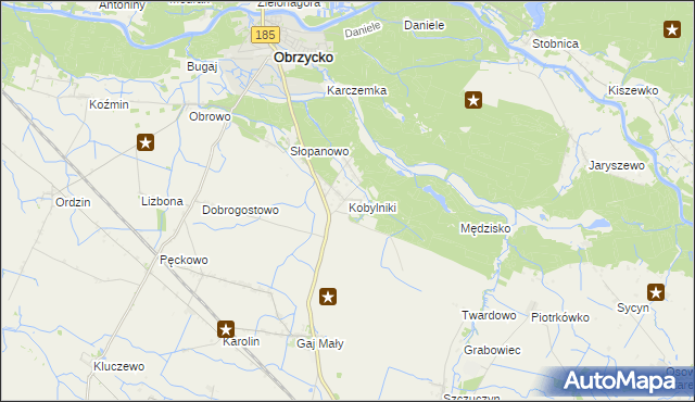 mapa Kobylniki gmina Obrzycko, Kobylniki gmina Obrzycko na mapie Targeo