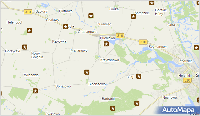 mapa Krzyżanowo gmina Śrem, Krzyżanowo gmina Śrem na mapie Targeo