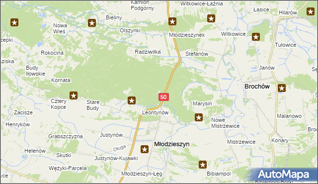 mapa Leśniczówka gmina Młodzieszyn, Leśniczówka gmina Młodzieszyn na mapie Targeo