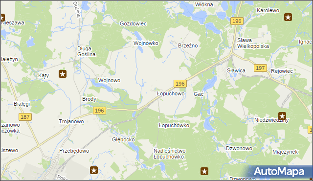 mapa Łopuchowo gmina Murowana Goślina, Łopuchowo gmina Murowana Goślina na mapie Targeo