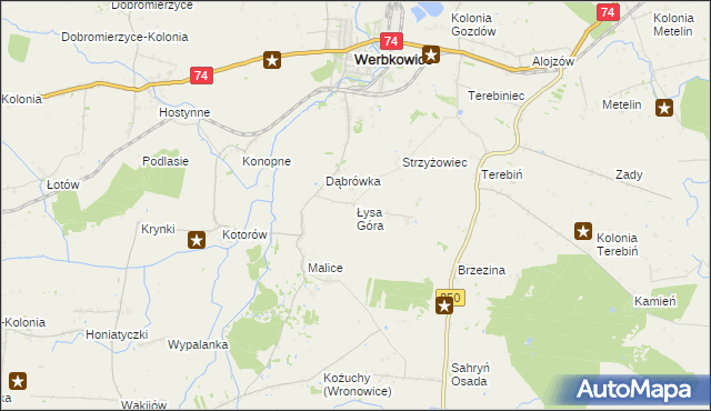 mapa Łysa Góra gmina Werbkowice, Łysa Góra gmina Werbkowice na mapie Targeo