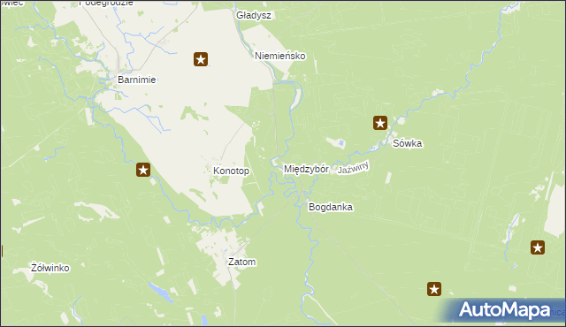 mapa Międzybór, Międzybór na mapie Targeo