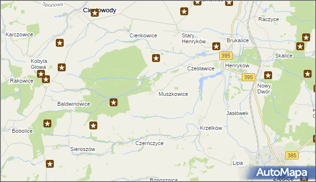 mapa Muszkowice, Muszkowice na mapie Targeo