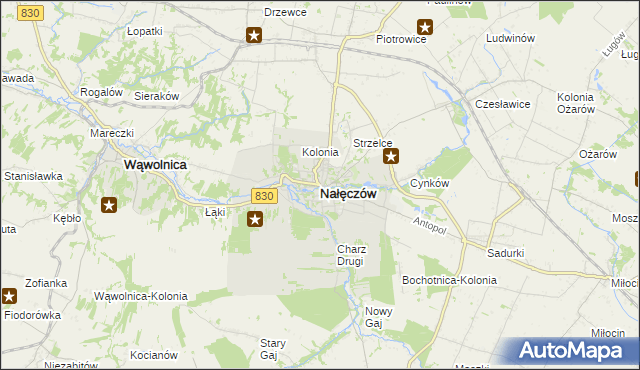 mapa Nałęczów powiat puławski, Nałęczów powiat puławski na mapie Targeo