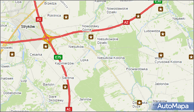 mapa Niesułków-Kolonia, Niesułków-Kolonia na mapie Targeo