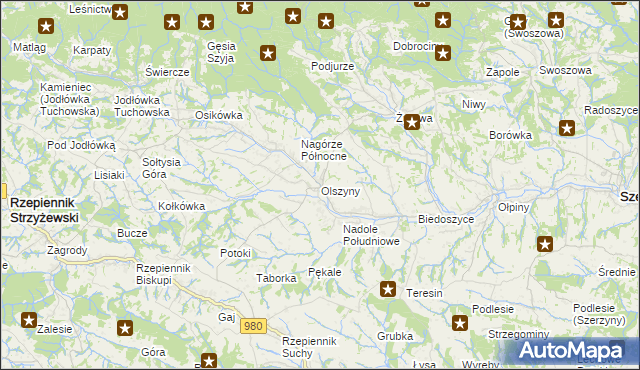 mapa Olszyny gmina Rzepiennik Strzyżewski, Olszyny gmina Rzepiennik Strzyżewski na mapie Targeo