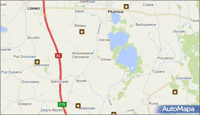 mapa Orłowo gmina Płużnica, Orłowo gmina Płużnica na mapie Targeo