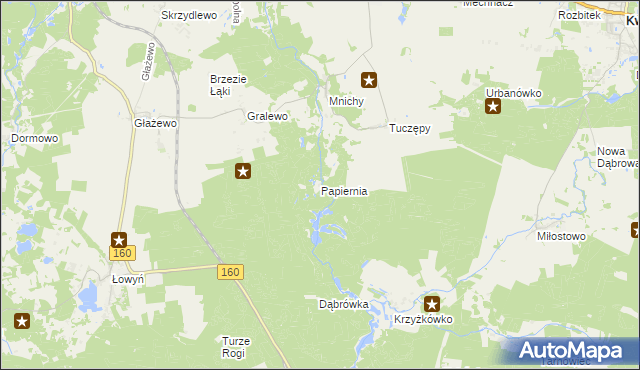 mapa Papiernia gmina Międzychód, Papiernia gmina Międzychód na mapie Targeo