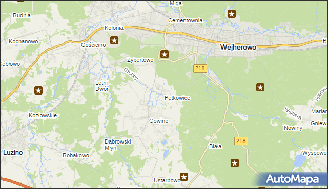 mapa Pętkowice gmina Wejherowo, Pętkowice gmina Wejherowo na mapie Targeo