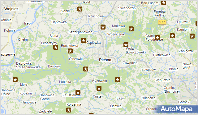 mapa Pleśna powiat tarnowski, Pleśna powiat tarnowski na mapie Targeo