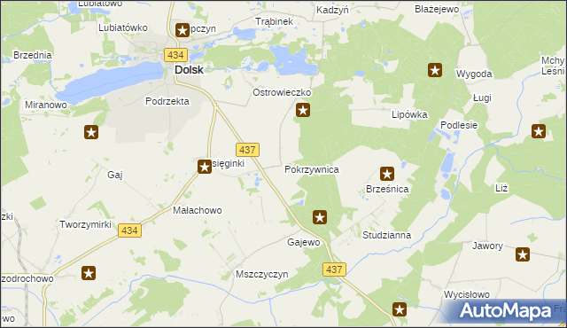 mapa Pokrzywnica gmina Dolsk, Pokrzywnica gmina Dolsk na mapie Targeo