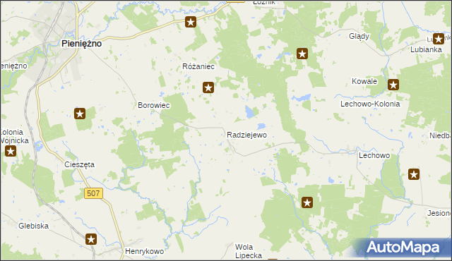 mapa Radziejewo gmina Pieniężno, Radziejewo gmina Pieniężno na mapie Targeo