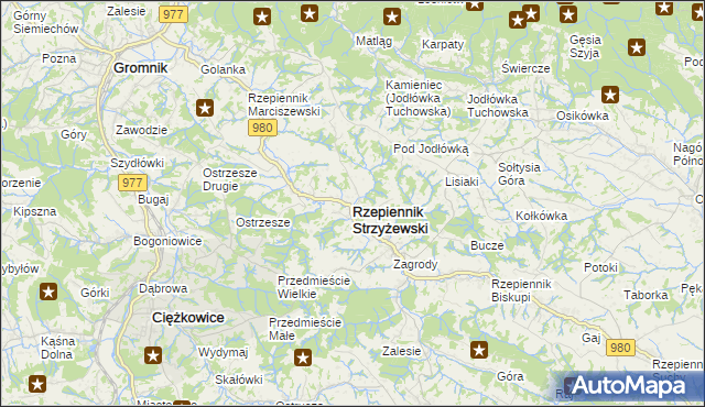 mapa Rzepiennik Strzyżewski, Rzepiennik Strzyżewski na mapie Targeo