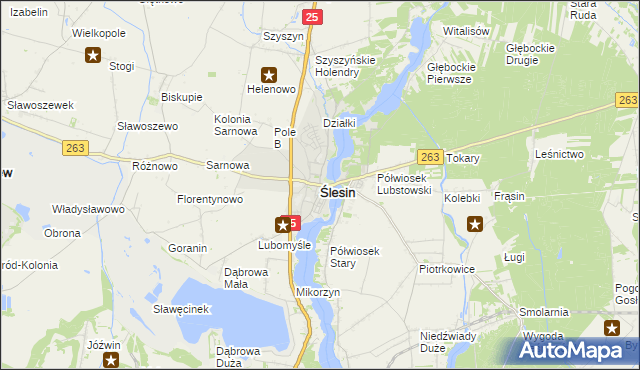 mapa Ślesin powiat koniński, Ślesin powiat koniński na mapie Targeo