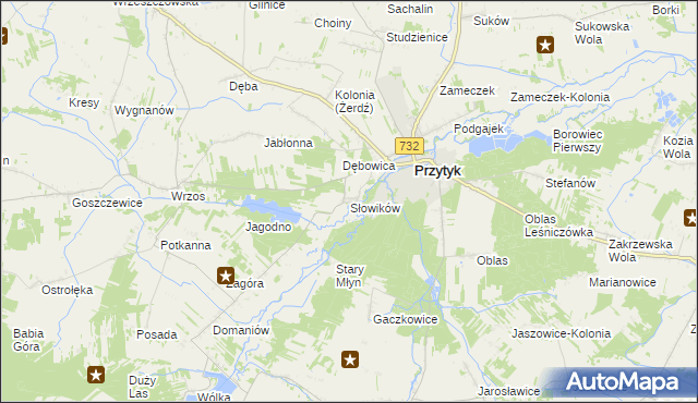 mapa Słowików gmina Przytyk, Słowików gmina Przytyk na mapie Targeo