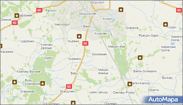 mapa Sokołówek gmina Ciechanów, Sokołówek gmina Ciechanów na mapie Targeo