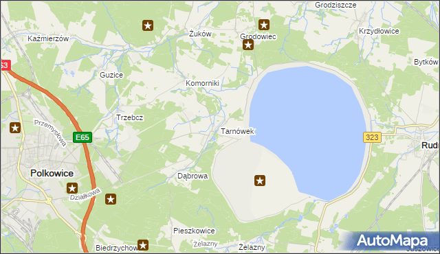 mapa Tarnówek gmina Polkowice, Tarnówek gmina Polkowice na mapie Targeo