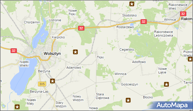 mapa Tłoki gmina Wolsztyn, Tłoki gmina Wolsztyn na mapie Targeo