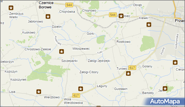 mapa Toki gmina Czernice Borowe, Toki gmina Czernice Borowe na mapie Targeo