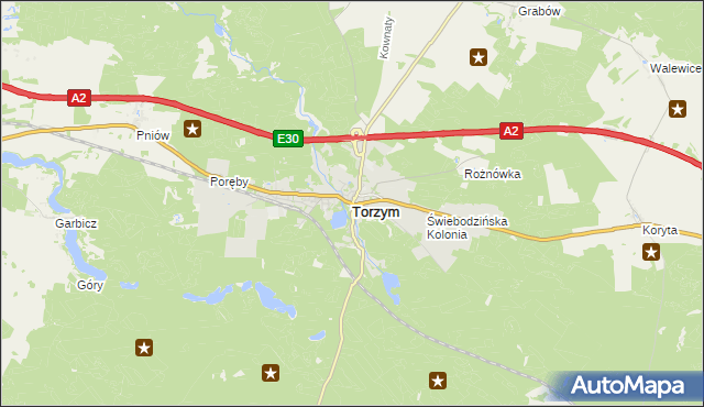 mapa Torzym, Torzym na mapie Targeo