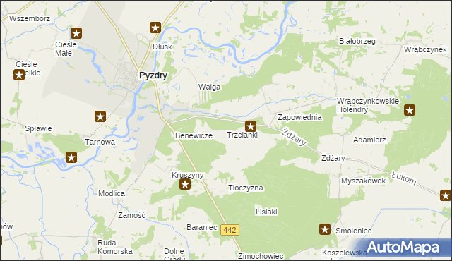 mapa Trzcianki gmina Pyzdry, Trzcianki gmina Pyzdry na mapie Targeo