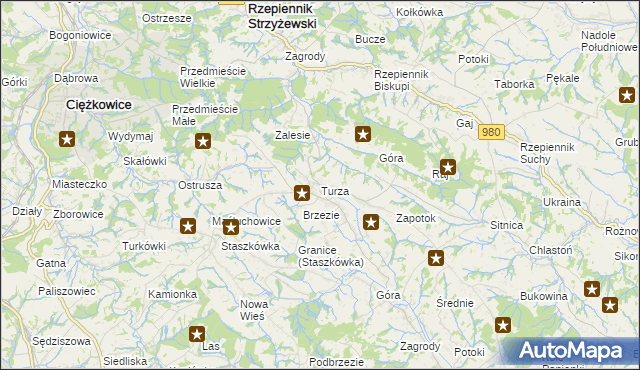 mapa Turza gmina Rzepiennik Strzyżewski, Turza gmina Rzepiennik Strzyżewski na mapie Targeo