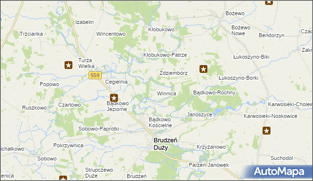 mapa Winnica gmina Brudzeń Duży, Winnica gmina Brudzeń Duży na mapie Targeo