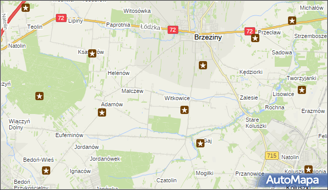 mapa Witkowice gmina Brzeziny, Witkowice gmina Brzeziny na mapie Targeo