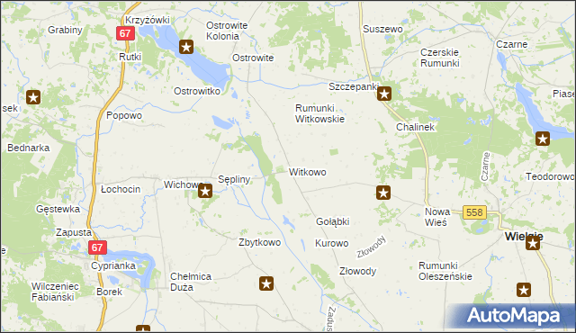 mapa Witkowo gmina Wielgie, Witkowo gmina Wielgie na mapie Targeo