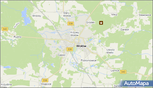 mapa Wołów, Wołów na mapie Targeo