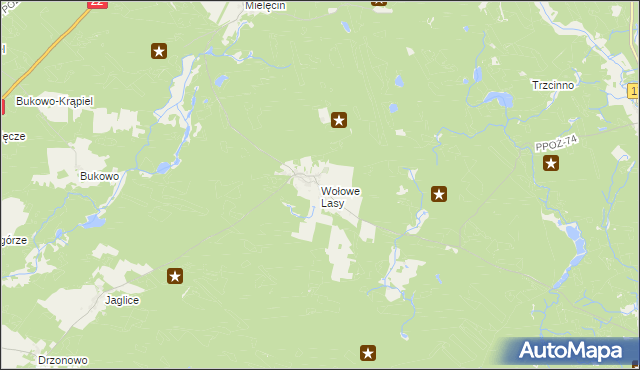 mapa Wołowe Lasy, Wołowe Lasy na mapie Targeo