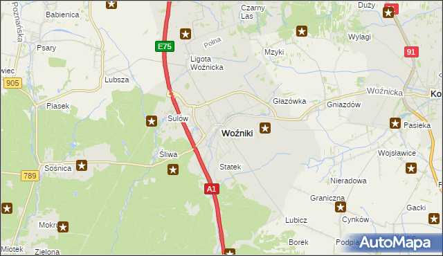mapa Woźniki powiat lubliniecki, Woźniki powiat lubliniecki na mapie Targeo