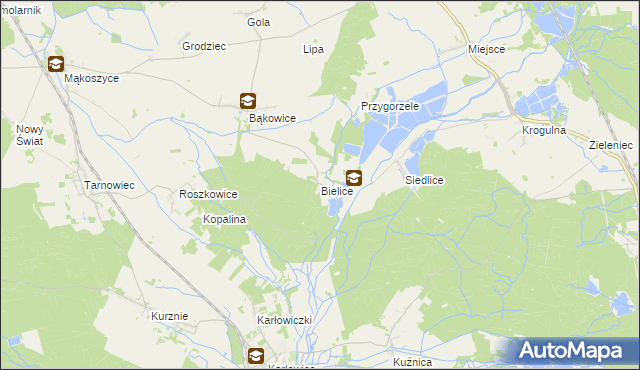 mapa Bielice gmina Świerczów, Bielice gmina Świerczów na mapie Targeo