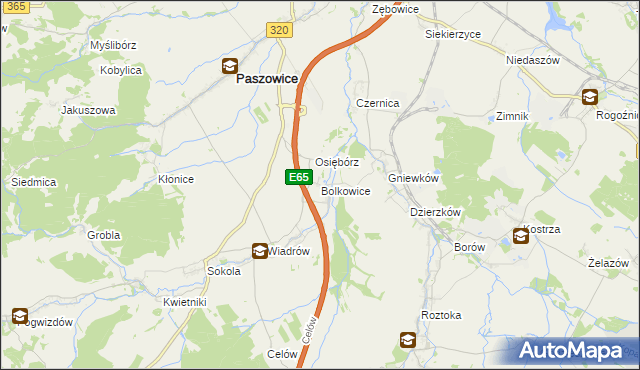 mapa Bolkowice gmina Paszowice, Bolkowice gmina Paszowice na mapie Targeo