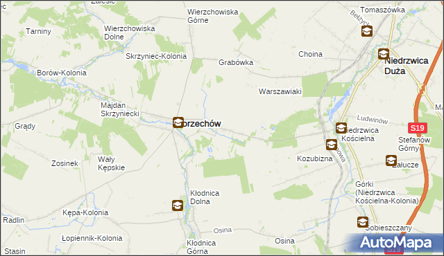 mapa Borzechów-Kolonia, Borzechów-Kolonia na mapie Targeo