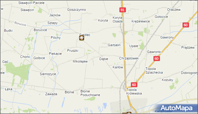 mapa Dąbie gmina Łęczyca, Dąbie gmina Łęczyca na mapie Targeo