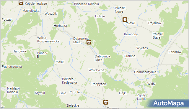 mapa Dąbrowica Duża gmina Tuczna, Dąbrowica Duża gmina Tuczna na mapie Targeo