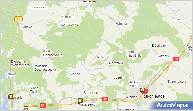 mapa Gola gmina Rakoniewice, Gola gmina Rakoniewice na mapie Targeo