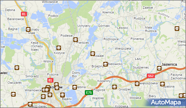 mapa Kowale gmina Skoczów, Kowale gmina Skoczów na mapie Targeo