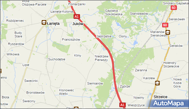 mapa Niedrzew Pierwszy, Niedrzew Pierwszy na mapie Targeo