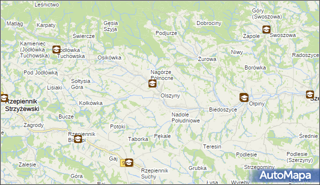 mapa Olszyny gmina Rzepiennik Strzyżewski, Olszyny gmina Rzepiennik Strzyżewski na mapie Targeo