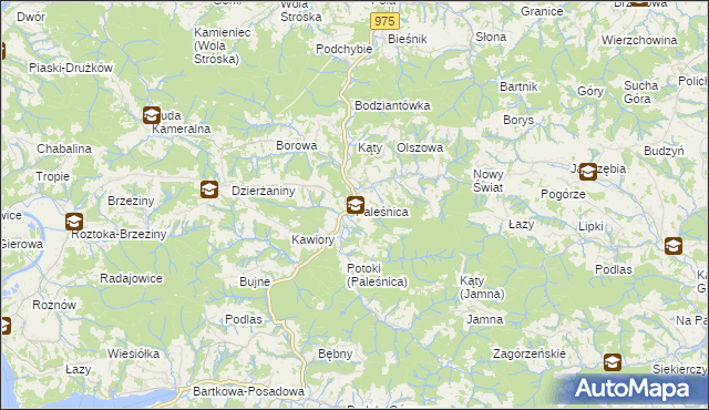 mapa Paleśnica, Paleśnica na mapie Targeo