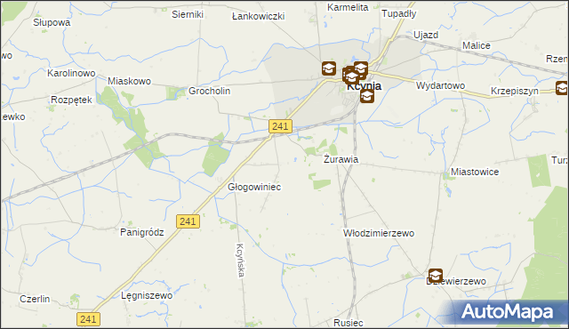 mapa Palmierowo, Palmierowo na mapie Targeo