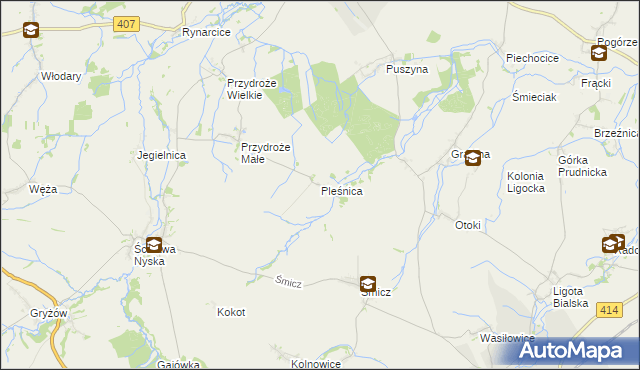 mapa Pleśnica, Pleśnica na mapie Targeo