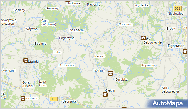 mapa Radość gmina Dębowiec, Radość gmina Dębowiec na mapie Targeo