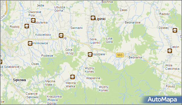 mapa Rozdziele gmina Lipinki, Rozdziele gmina Lipinki na mapie Targeo