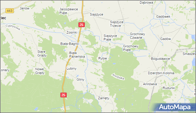 mapa Rybie gmina Rychwał, Rybie gmina Rychwał na mapie Targeo