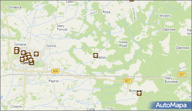 mapa Sątopy gmina Nowy Tomyśl, Sątopy gmina Nowy Tomyśl na mapie Targeo