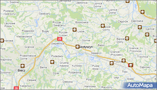 mapa Skołyszyn, Skołyszyn na mapie Targeo