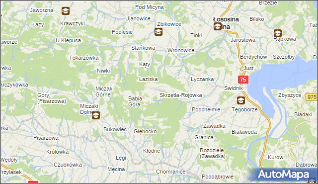 mapa Skrzętla-Rojówka, Skrzętla-Rojówka na mapie Targeo